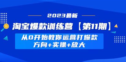 《淘宝爆款训练营第11期》 从0开始教你运营打爆款教程