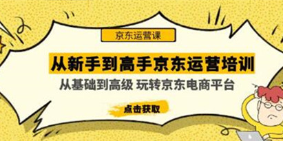 《从新手到高手京东运营培训教程》从0到1玩转京东电商平台