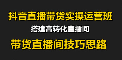 抖音直播带货实操运营班，带货直播间技巧思路，搭建高转化直播间，话术书写及付费技巧