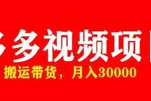 多多带货视频快速50爆款拿带货资格，搬运带货月入30000【全套脚本+详细玩法】