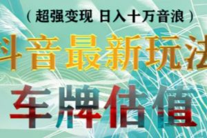 最新《抖音无人直播变现车牌估值玩法项目教程》轻松日赚几百+