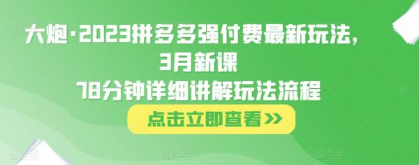 大炮《2023拼多多强付费最新玩法》78分钟详细讲解玩法流程