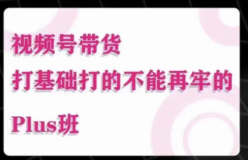 大播汇·视频号带货Puls班，视频号底层逻辑，起号自然流鱼塘等玩法