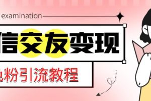 《微信交友变现项目》吸引全网LSP男粉精准变现，小白也能轻松上手，日入500+