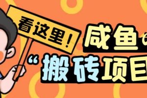 最新闲鱼免费搬砖项目视频教程，单号日入20+