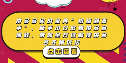 拼多多实战宝典“初级到高手”，新手小白必看拼多多课程，带你全方位解读拼多多各种玩法