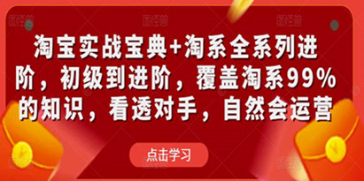 淘宝实战宝典+淘系全系列进阶，初级到进阶，覆盖淘系99%的知识，看透对手，自然会运营