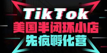 疯人院《TikTok美国半闭环小店孵化营》抢占TikTok美国蓝海市场，开店+运营+带货+投流全实操