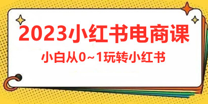 2023小红书电商课，新手小白从0~1玩转小红书薯店电商