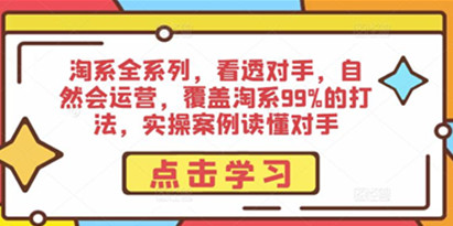 淘系全系列，看透对手，自然会运营，覆盖淘系99%的打法，实操案例读懂对手