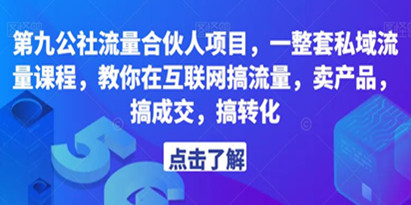 社流量合伙人项目