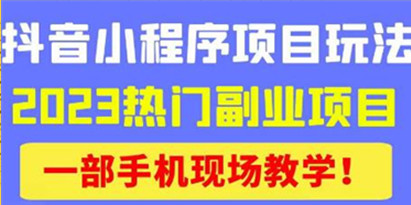 《抖音小程序9.0新技巧》2023热门副业项目，动动手指轻松变现