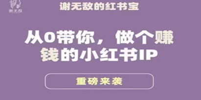 谢无敌《小红书运营大宝典》从0带你做个赚钱的小红书IP