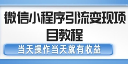 《微信小程序引流变现项目教程》当天操作当天就有收益，变现不再是难事