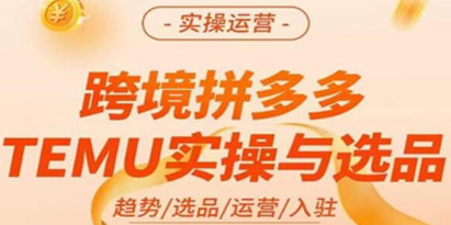 《拼多多跨境电商temu实操与选品》​掌握平台运营方法技巧，爆款的底层思路等