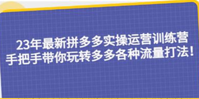 《拼多多实操运营训练营》手把手带你玩转多多各种流量打法！