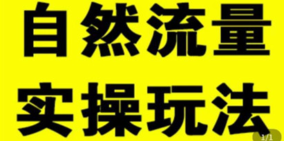 拼多多自然流的实操玩法，自然流量是怎么来的，如何开车带来自然流等知识