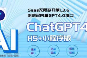 网首发Saas无限多开版ChatGPT小程序+H5，系统已内置GPT4.0接口，可无限开通坑位