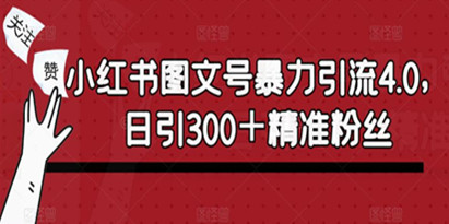 小红书图文号暴力引流4.0，日引300＋精准粉丝【揭秘】