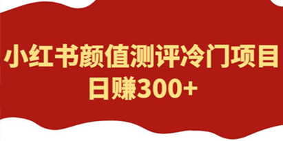 揭秘外面1980的项目，小红书颜值测评冷门项目，日赚300+