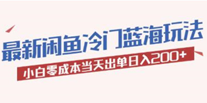 《闲鱼冷门蓝海玩法》小白零成本当天出单日入200+