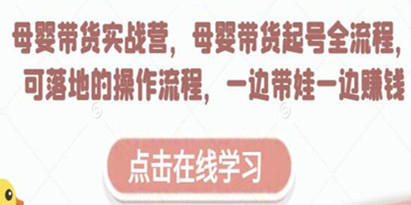 《母婴带货实战营》母婴带货起号全流程，可落地的实操课程