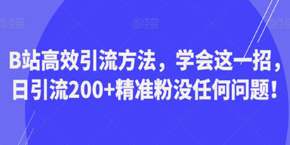 揭秘《B站高效引流方法》学会这一招，日引流200+精准粉没任何问题