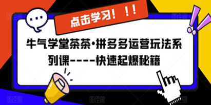 牛气学堂茶茶《拼多多运营玩法系列课》快速起爆秘籍