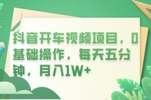 揭秘抖音开车视频项目，0基础操作，每天五分钟，月入1W+