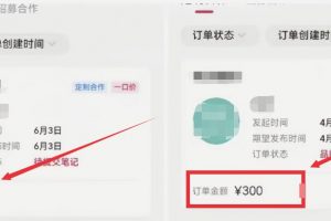 小红书商单搬砖玩法,一单收益200-300(可批量放大