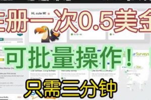 揭秘国外项目注册一次0.5美金，只需三分钟无脑操作，可批量同时放大操作