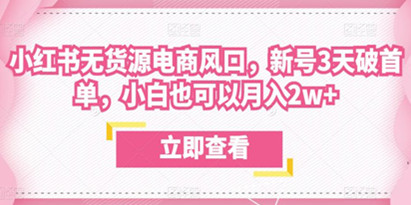 众狼电商余文小红书无货源电商风口，新号3天破首单，小白也可以月入2w+