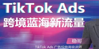 稳哥·如何投出高ROI的TikTok广告，开拓独立站卖家流量新蓝海