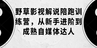 野草影视解说陪跑训练营，从新手进阶到成熟自媒体达人