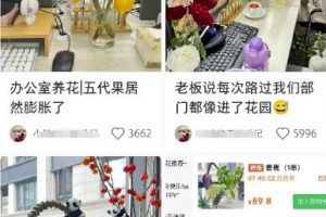 小红书导流快团团卖货实操案例，日引200+精准粉