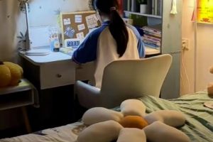 1条视频撬动百万免费流量，精准引流妈妈粉