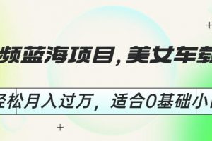 短视频蓝海项目，美女车载U盘，轻松月入过万，适合0基础小白