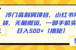 冷门高利润项目，小红书带货，无脑搬运，一部手机实现日入500+