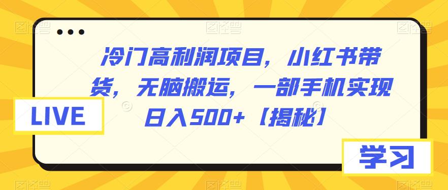 冷门高利润项目，小红书带货，无脑搬运，一部手机实现日入500+【揭秘】