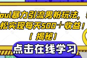 Soul暴力引流男粉玩法，轻松实现每天500＋收益！
