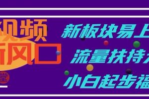 中视频新风口，新板块易上手，流量扶持大，小白起步福音