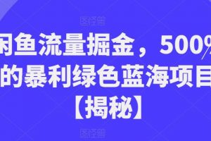 闲鱼流量掘金，500%的暴利绿色蓝海项目