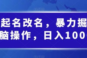 婴儿起名改名，暴力掘金，无脑操作，日入1000+