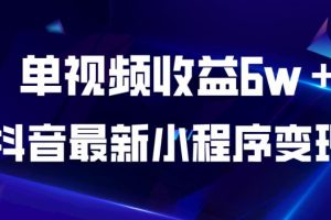 抖音最新小程序变现项目，单视频收益6w＋，小白可做