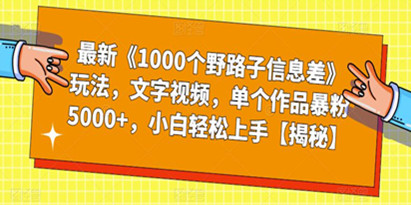 最新《1000个野路子信息差》玩法，文字视频，单个作品暴粉5000+，小白轻松上手【揭秘】