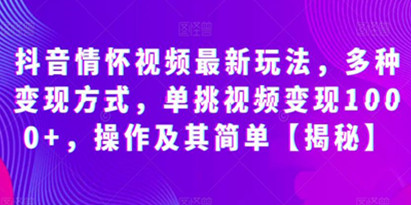 抖音情怀视频最新玩法，多种变现方式，单挑视频变现1000+，操作及其简单