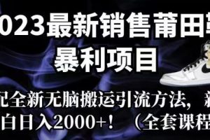 2023最新销售莆田鞋暴利项目，搭配全新无脑搬运引流方法，新手小白日入2000+