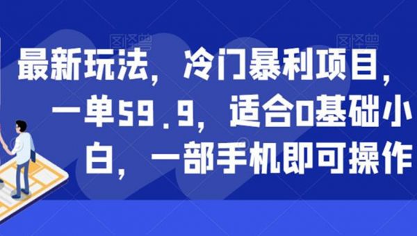 冷门暴利项目