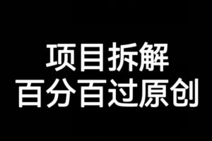 项目拆解赛道百分百过原创