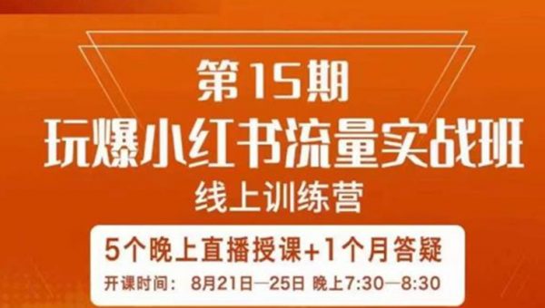 辛言玩爆小红书流量实战班